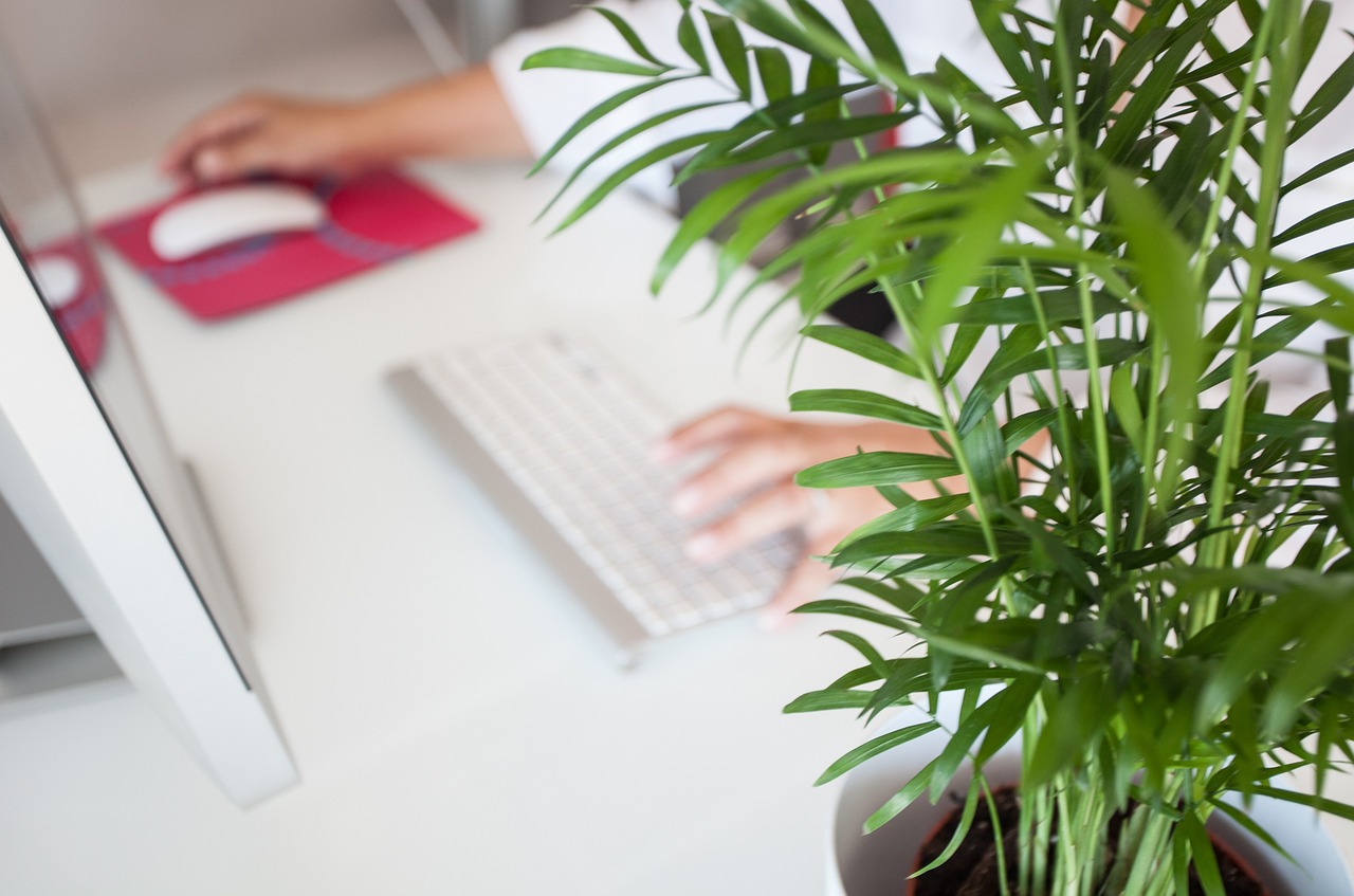 Gestion administrative et financière Gestion administrative et financière